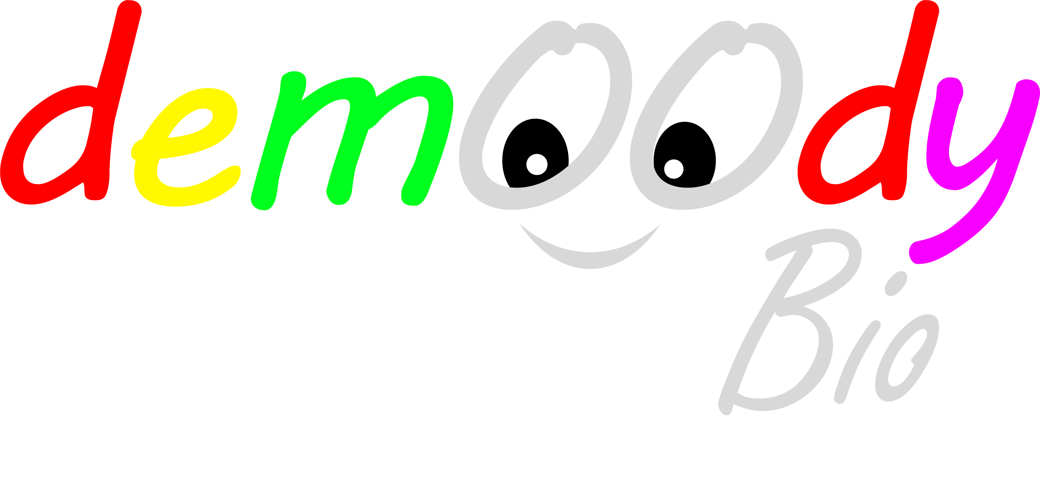 Website Logo